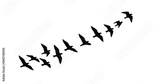 Flying Birds Silhouette Flock Vector, Migrating Swallows in Formation, Elegant Nature Design Element for Decoration and Tattoo