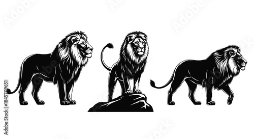 Set of Family and Group Silhouettes Vector, People Sitting Walking Talking Kids Dogs, Diverse Crowd Architectural Figures