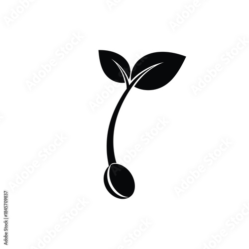 a seed sprout silhouette vector art illustration