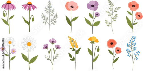 Minimalist cad style wildflower vector set for architectural visualization and design projects isolated on transparent background