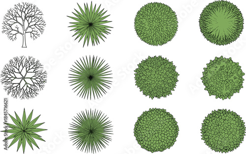 Top view stylized tree canopy grid set for garden design, eco foliage illustration, botanical texture, vector nature elements collection.