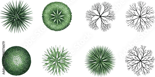 Top View Tree and Shrub Illustrations for Landscape Architecture, Garden Planning, Urban Design, Foliage Mapping, and Green Space Visualization
