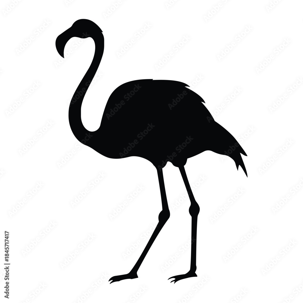 Obraz premium Flamingo vector icon. Vector illustration of a flamingo silhouette. Summer bird cute standing flamingo silhouette. Bird Vector illustration.