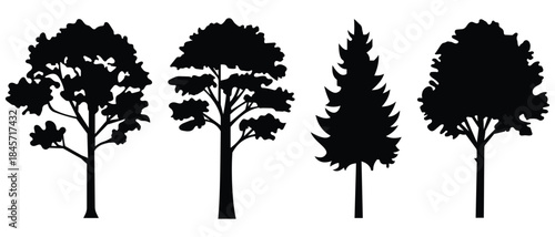 Trees icon vector set. Silhouettes of trees vector. Black different type tree silhouette. Nature symbol. Vector illustration.