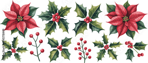 Christmas poinsettia and holly elements set, festive red winter botanical illustration for holiday design projects