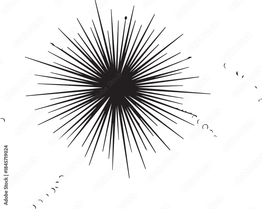 Fototapeta premium Abstract black starburst pattern on white background