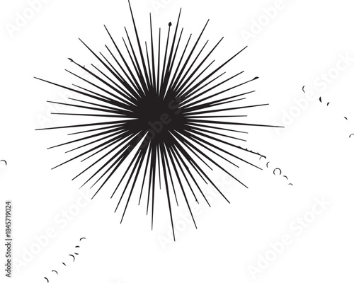 Abstract black starburst pattern on white background