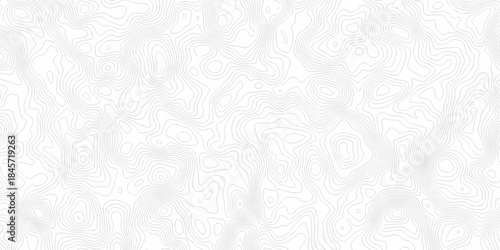 Minimal vector topo paper lines Topographic contour lines grid map seamless pattern. Geographic mountain relief. Abstract lines background. Contour maps. illustration, Topo contour map design.