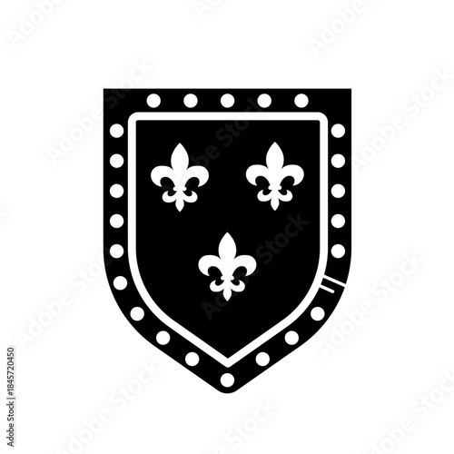 Medieval shield with division  -line vector icon