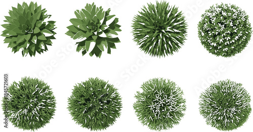 Top view stylized green shrub set for garden design, eco foliage texture, botanical illustration, vector plant elements collection layout.
