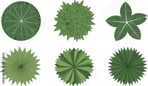Top view stylized leaf canopy set for garden design, botanical texture, eco foliage illustration, vector nature elements collection.