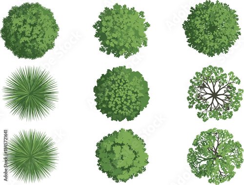 Top view stylized tree canopy grid for garden design, eco foliage illustration, botanical texture, vector nature elements collection layout.