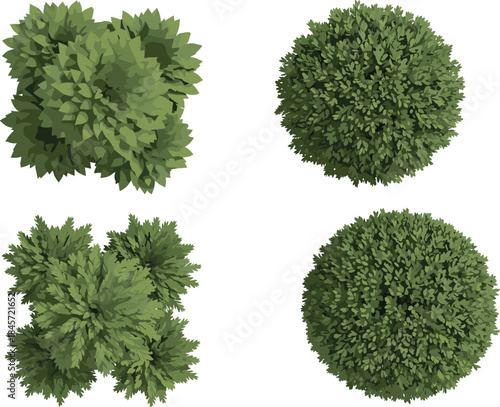 Top view stylized tree canopy set for landscape design, garden planning, eco foliage illustration, vector plant texture elements collection.