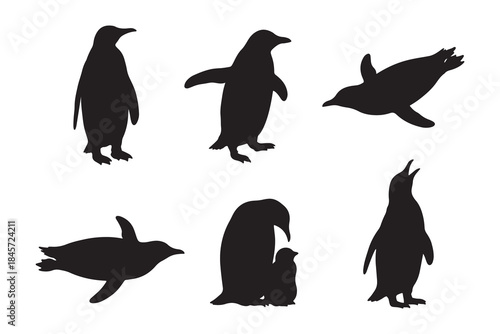 Antarctic wildlife vector illustration Cute penguin silhouettes