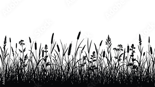 Black silhouette of diverse wild grasses and reeds forming a natural border on a white background.