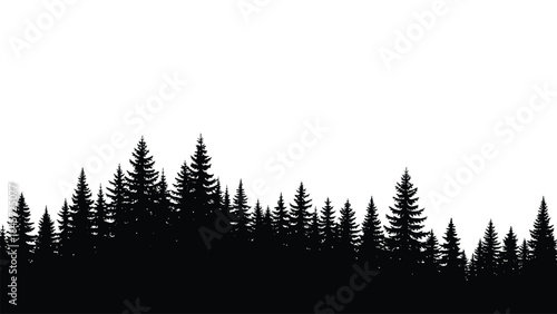 Black silhouette of a dense coniferous forest and evergreen trees on a white background
