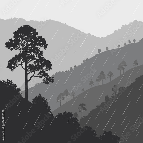 silhouette of a tree