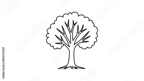 Outline of Tree: A minimalistic, yet elegant illustration of a tree. showcasing a detailed structure of branches and leaves. 