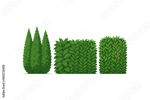 Various green shrub plants on white background