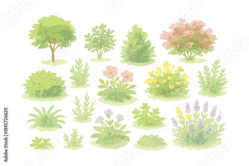 Watercolor botanical collection of trees and flowers with lush greenery