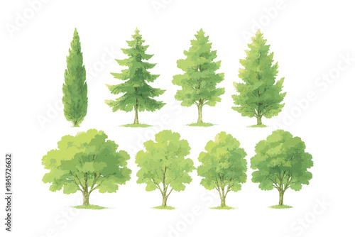 Variety of green trees on white background