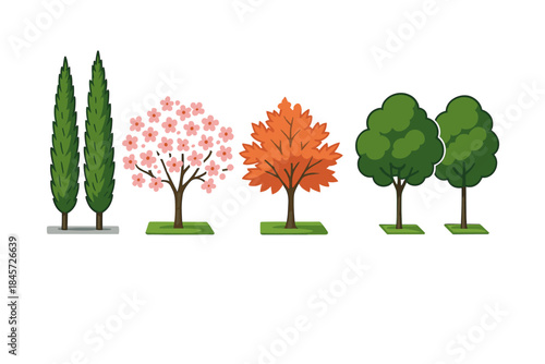Diverse tree varieties: cypress, blossom, autumn, and green trees on white background
