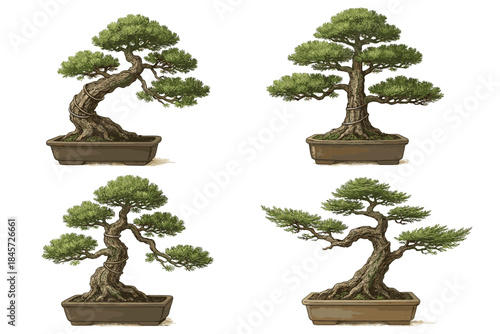 Four stylized bonsai trees in rectangular pots display unique shapes