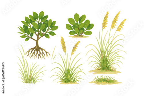 Diverse plant set with various greenery and roots on white background