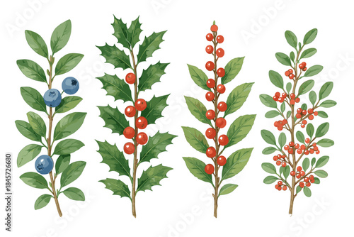 Colorful botanical illustration of various berry plants with green leaves