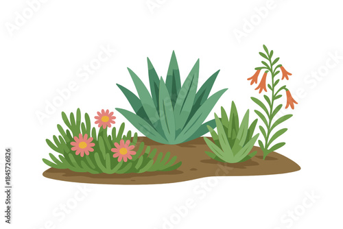 Colorful desert flora with succulents and wildflowers on soil patch