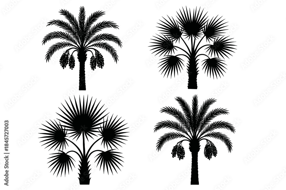 Fototapeta premium Silhouettes of four distinct tropical palm trees in black and white