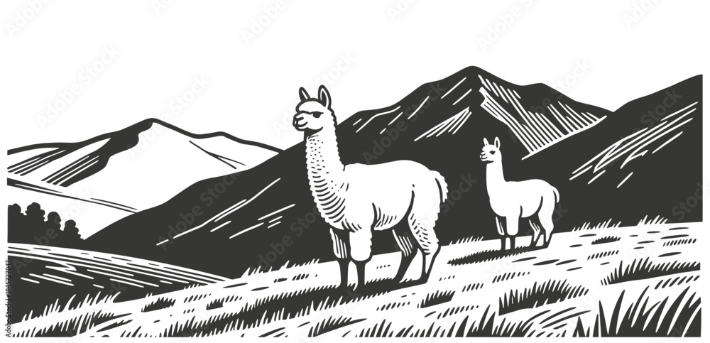 Fototapeta premium Pair of llamas standing on mountain path with majestic peaks in background. Serene black and white vintage vector illustration perfect for nature, wildlife designs.