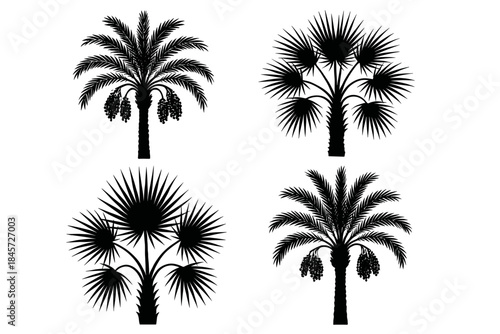 Silhouettes of four distinct tropical palm trees in black and white
