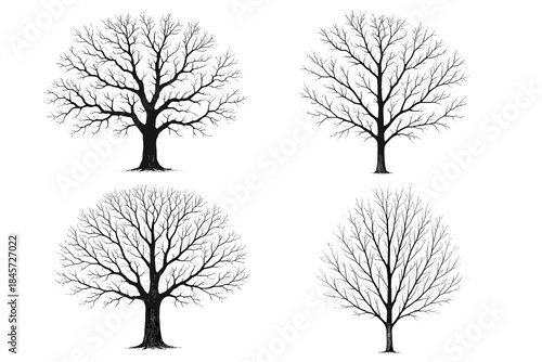Four varieties of bare winter trees in detailed black and white silhouette design