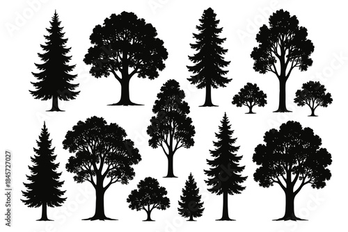Variety of tree silhouettes including oak and pine in black on white background