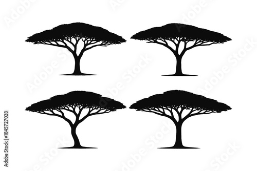Silhouette of four african acacia trees in minimalist style