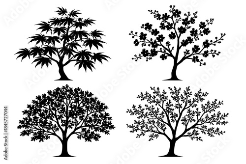 Silhouette of four diverse tree types highlighting leaf and branch variations