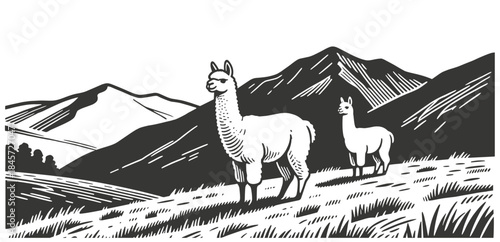 Pair of llamas standing on mountain path with majestic peaks in background. Serene black and white vintage vector illustration perfect for nature, wildlife designs.