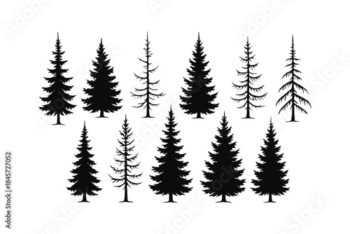 Silhouette collection of various evergreen tree species on white background