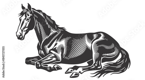 Serene black and white illustration of resting horse lying down with relaxed pose. Perfect vector for equine, farm, and nature designs.