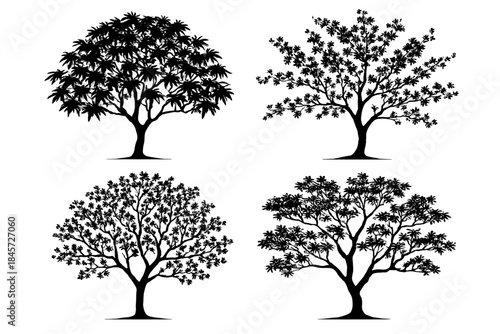 Set of four silhouette trees: nature diversity and botanical art