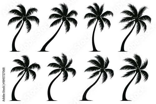 Silhouette of eight coconut palm trees on white background