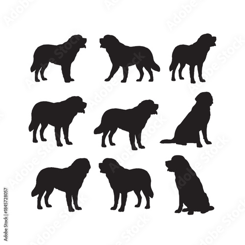 Saint Bernard Dog Silhouettes Collection,Saint Bernard Silhouettes,Vector Saint Bernard Dog Silhouettes,Large Dog Silhouettes,saint bernard vector