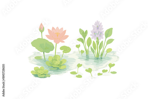 Water lilies and hyacinths in tranquil pond illustration