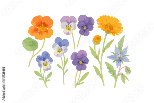 Colorful collection of vibrant flowers with green leaves on white background