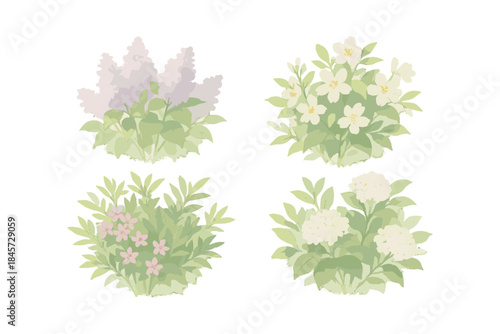 Illustrated floral bushes set featuring lilac hydrangea jasmine roses