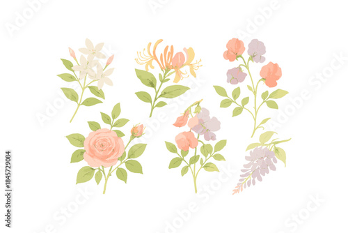 Elegant floral arrangement featuring pastel roses, jasmine, lavender, honeysuckle illustrations