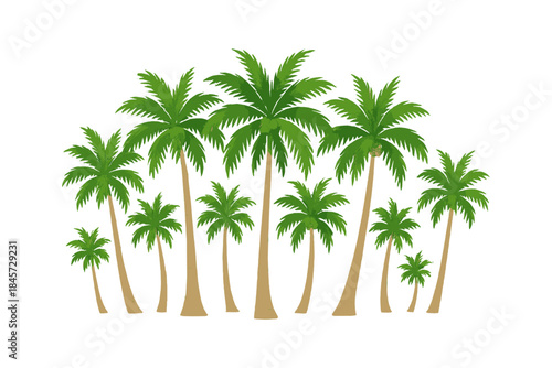 Green palm trees on white background