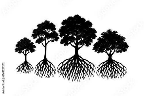 Tree silhouettes with exposed roots on white background