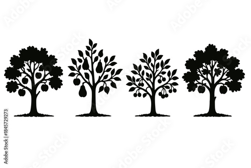 Silhouette of four different fruit trees: apple, pear, plum, and cherry
